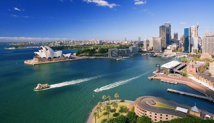 Gui thuoc bac di uc 2